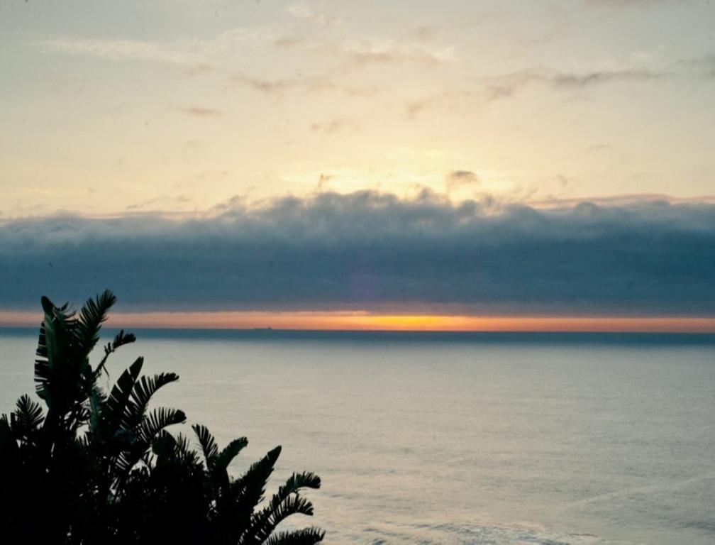 The Tides Inn Bed And Breakfast Durban Zewnętrze zdjęcie